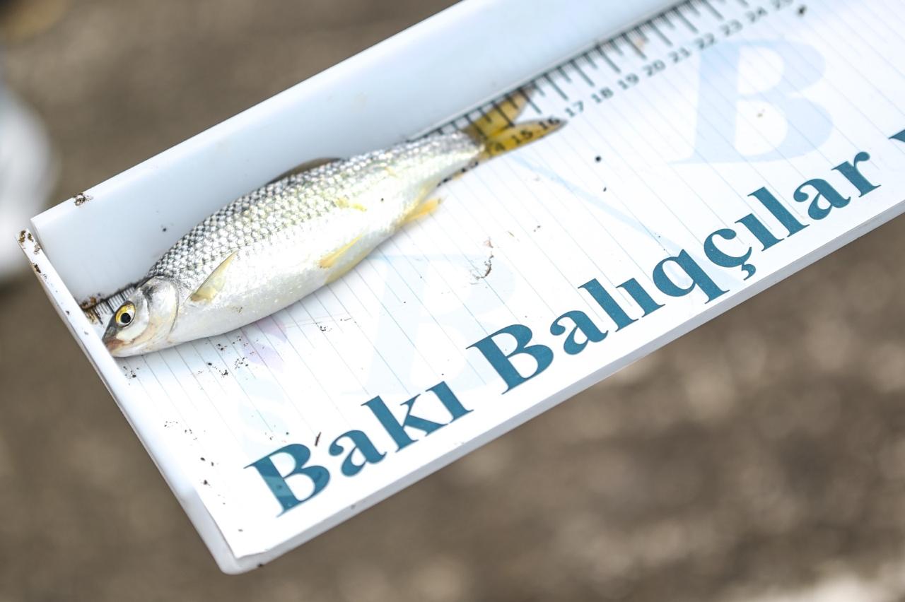 Federasiya nümayəndələri arasında balıq ovu festivalı keçirildi (FOTO/VİDEO)